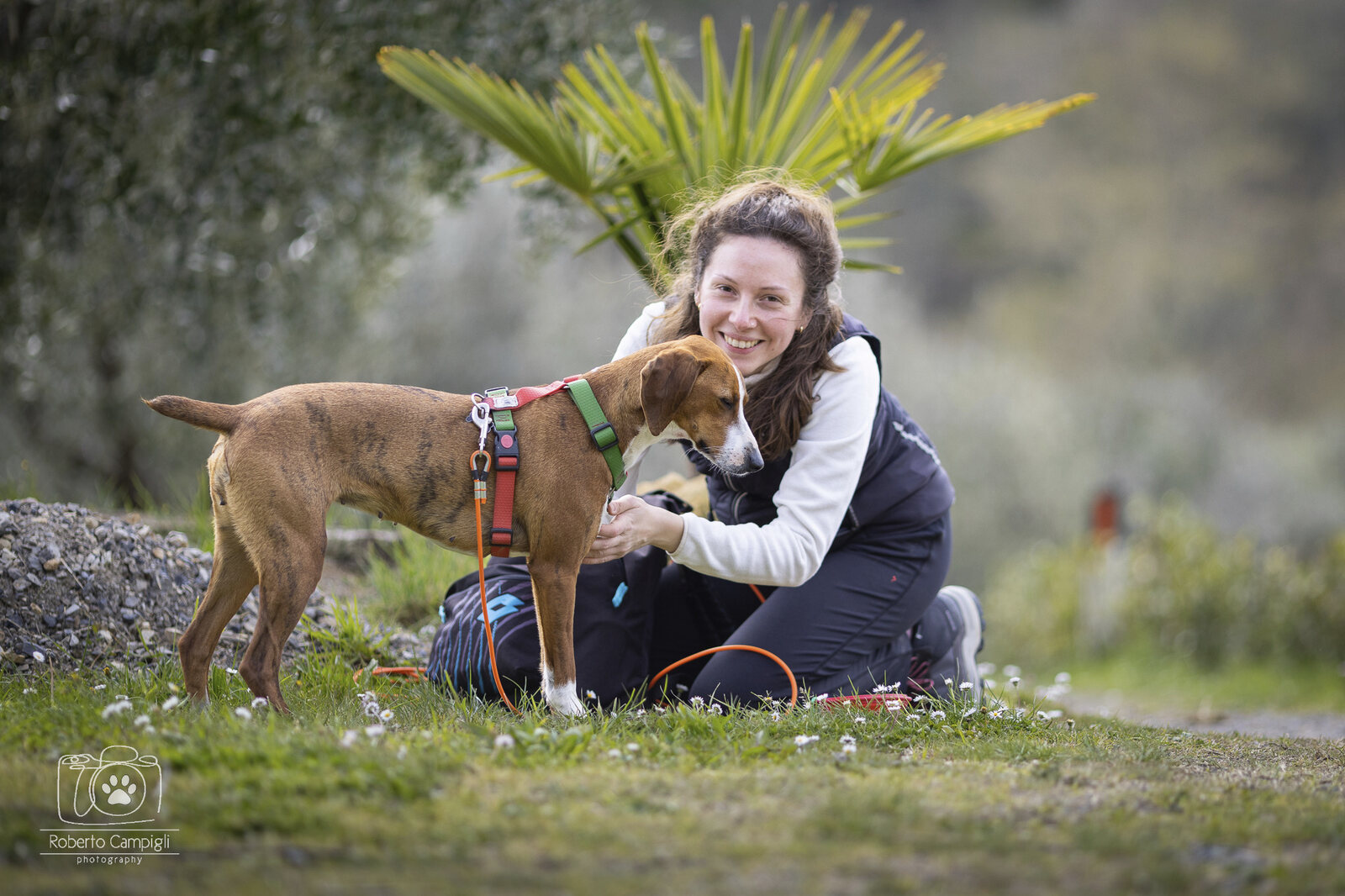 Una persona abbraccia il proprio cane in un prato